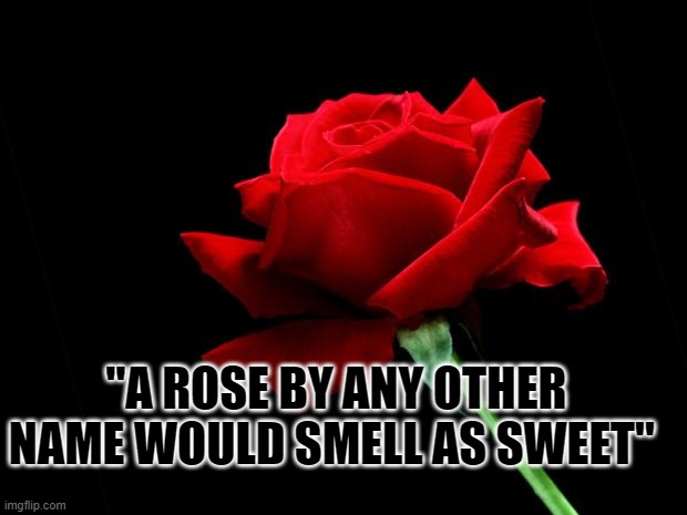Now get the blood red stink weed out of my face! | "A ROSE BY ANY OTHER NAME WOULD SMELL AS SWEET" | image tagged in rose,renaming,feels over fact,rebranding | made w/ Imgflip meme maker