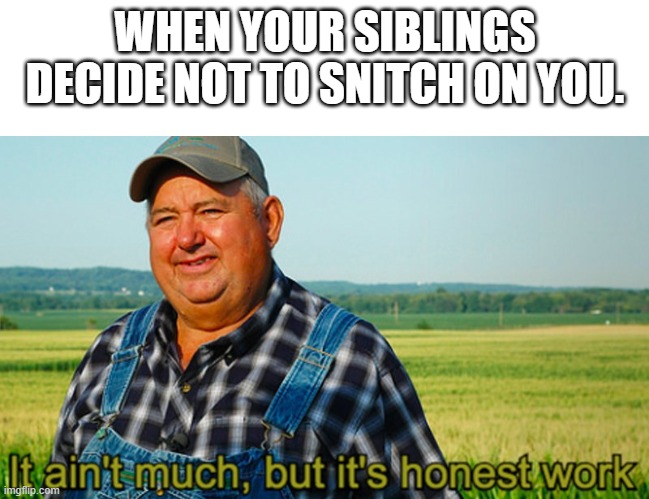 It ain't much, but it's honest work |  WHEN YOUR SIBLINGS DECIDE NOT TO SNITCH ON YOU. | image tagged in it ain't much but it's honest work | made w/ Imgflip meme maker