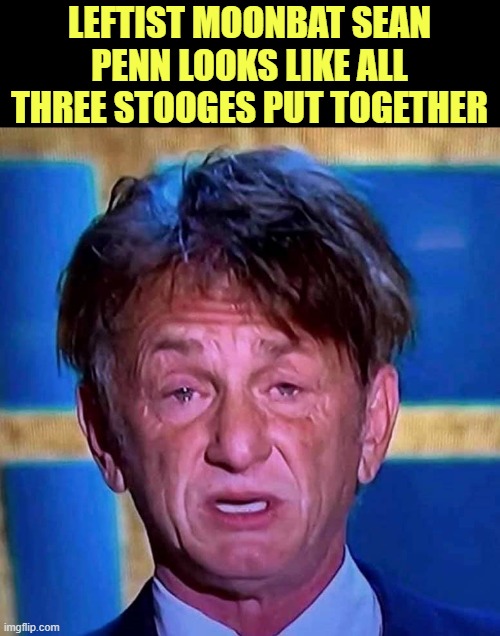 Liberalism is a mental disease and Adrenochrome is not a cure. | LEFTIST MOONBAT SEAN PENN LOOKS LIKE ALL THREE STOOGES PUT TOGETHER | image tagged in sean penn,libtards,leftists,tds | made w/ Imgflip meme maker