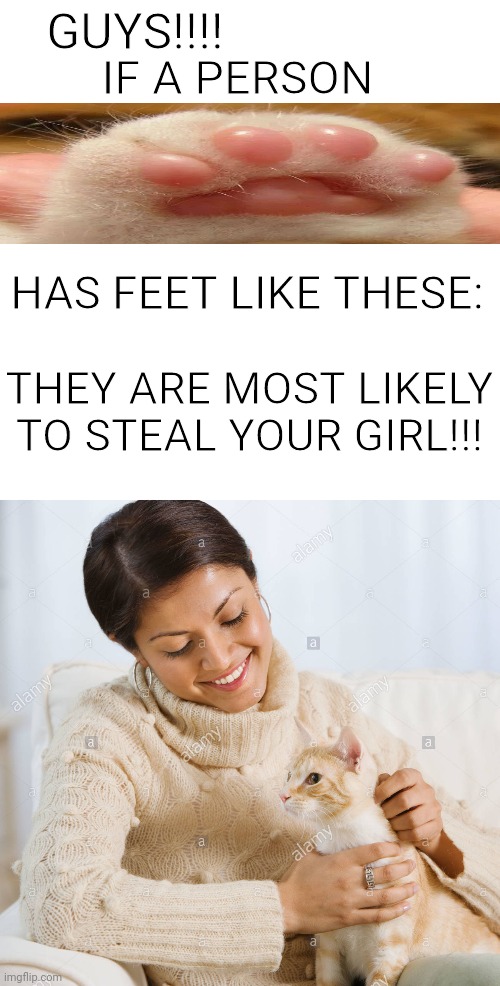 O NOEZ!!! | GUYS!!!! IF A PERSON; HAS FEET LIKE THESE:; THEY ARE MOST LIKELY TO STEAL YOUR GIRL!!! | image tagged in memes,cats,oh no | made w/ Imgflip meme maker