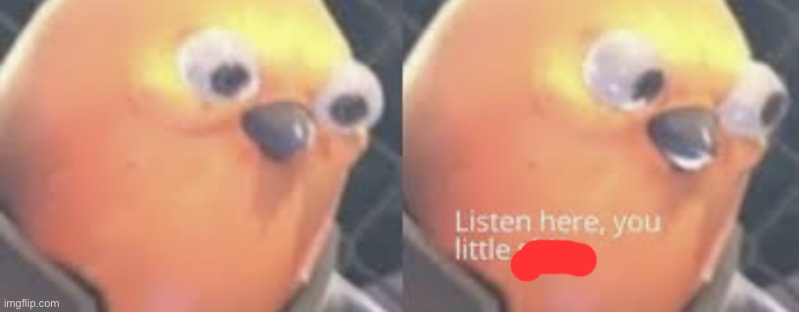Listen here you little shit bird clean | image tagged in listen here you little shit bird | made w/ Imgflip meme maker