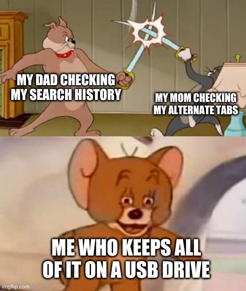 Tom and Jerry swordfight | MY DAD CHECKING MY SEARCH HISTORY; MY MOM CHECKING MY ALTERNATE TABS; ME WHO KEEPS ALL OF IT ON A USB DRIVE | image tagged in tom and jerry swordfight | made w/ Imgflip meme maker