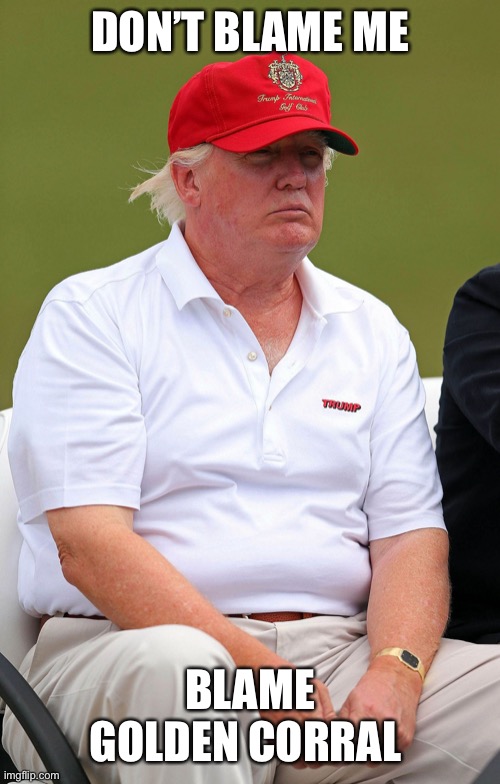 fat trump | DON’T BLAME ME; BLAME GOLDEN CORRAL | image tagged in fat trump | made w/ Imgflip meme maker