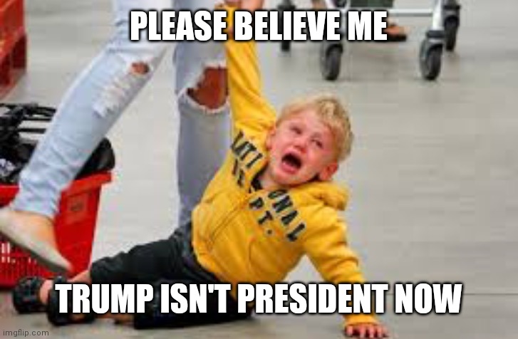 Tantrum store | PLEASE BELIEVE ME TRUMP ISN'T PRESIDENT NOW | image tagged in tantrum store | made w/ Imgflip meme maker