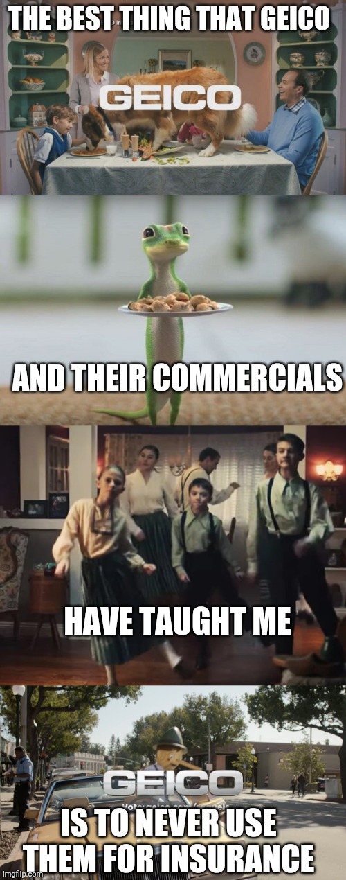 THE DUMBEST COMMERCIALS ON TV | THE BEST THING THAT GEICO; AND THEIR COMMERCIALS; HAVE TAUGHT ME; IS TO NEVER USE THEM FOR INSURANCE | image tagged in insurance,geico,geico gecko,cars | made w/ Imgflip meme maker