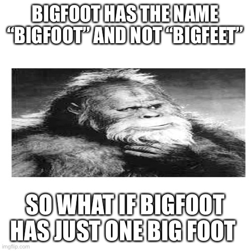 Bigfoot or Bigfeet |  BIGFOOT HAS THE NAME “BIGFOOT” AND NOT “BIGFEET”; SO WHAT IF BIGFOOT HAS JUST ONE BIG FOOT | image tagged in memes,blank transparent square | made w/ Imgflip meme maker