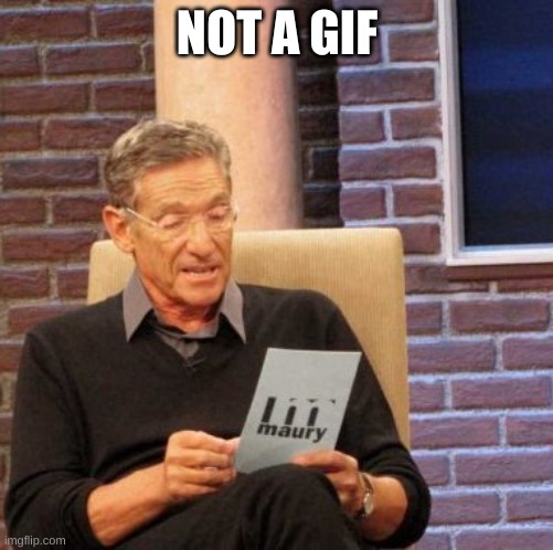 Maury Lie Detector | NOT A GIF | image tagged in memes,maury lie detector | made w/ Imgflip meme maker