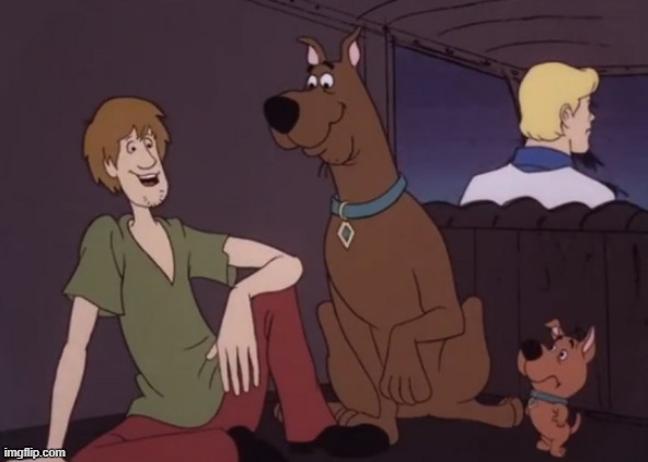 Talking Shaggy, Happy Scooby, Worried Scrappy, Fred focusing on the road | image tagged in shaggy,scooby doo,fred jones,scrappy doo,scooby doo shaggy,scooby | made w/ Imgflip meme maker