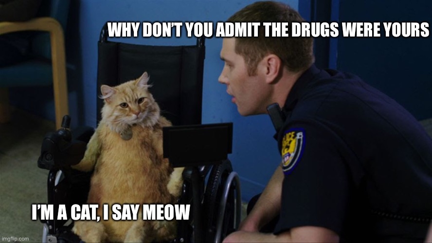 WHY DON’T YOU ADMIT THE DRUGS WERE YOURS I’M A CAT, I SAY MEOW | made w/ Imgflip meme maker