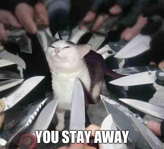 smug cat surrounded by knives | YOU STAY AWAY | image tagged in smug cat surrounded by knives | made w/ Imgflip meme maker