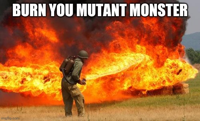 Nope flamethrower | BURN YOU MUTANT MONSTER | image tagged in nope flamethrower | made w/ Imgflip meme maker