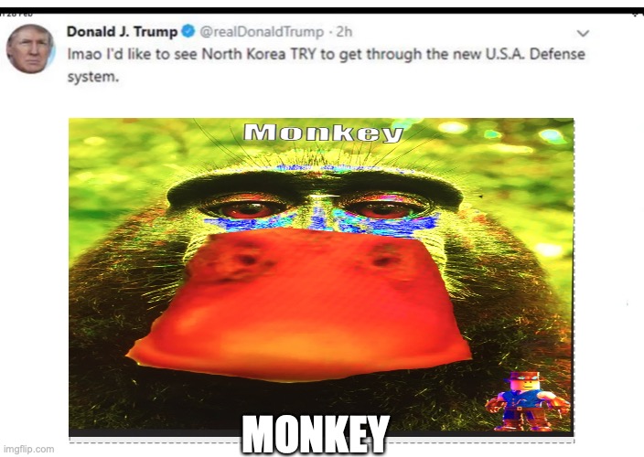 U.S.A defence system | MONKEY | image tagged in donald trump,monkey | made w/ Imgflip meme maker
