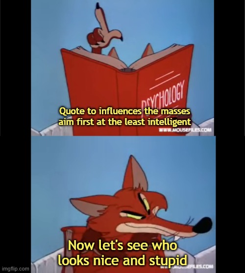 High Quality Now let's see who looks nice and stupid,foxy loxy, Blank Meme Template