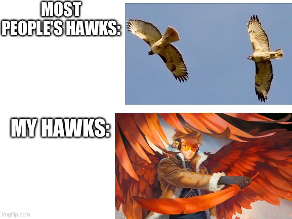 True |  MOST PEOPLE'S HAWKS:; MY HAWKS: | image tagged in hawks,my hero academia | made w/ Imgflip meme maker