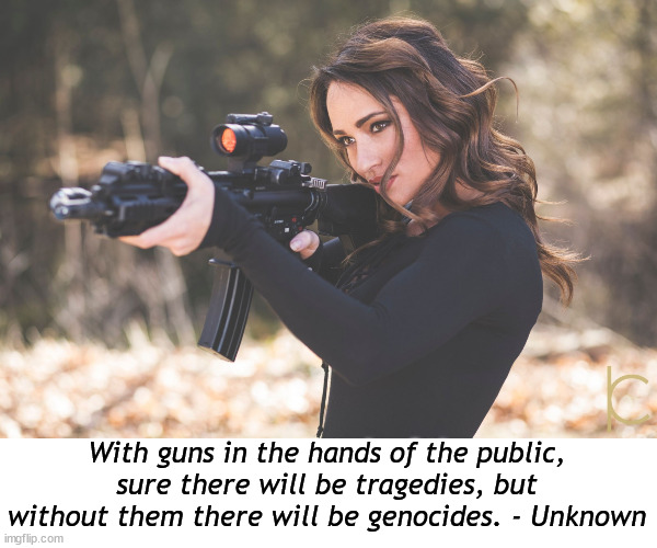 If guns were as deadly as Democrats say they are we would have all been killed off all of humanity by the 1800's | With guns in the hands of the public, sure there will be tragedies, but without them there will be genocides. - Unknown | image tagged in guns,liberals,freedom,socialists just gotta kill | made w/ Imgflip meme maker