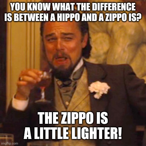 Laughing Leo Meme | YOU KNOW WHAT THE DIFFERENCE IS BETWEEN A HIPPO AND A ZIPPO IS? THE ZIPPO IS A LITTLE LIGHTER! | image tagged in memes,laughing leo | made w/ Imgflip meme maker