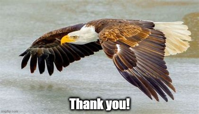 Thank you! | made w/ Imgflip meme maker