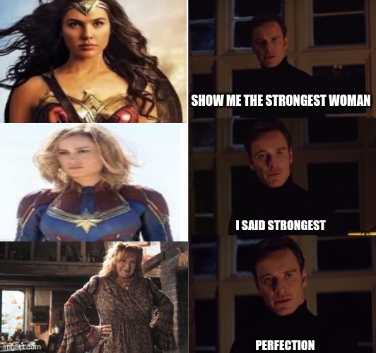 It do be like that lmao | SHOW ME THE STRONGEST WOMAN; I SAID STRONGEST; PERFECTION | image tagged in perfection | made w/ Imgflip meme maker