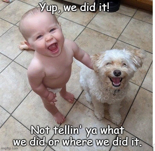 We're not telling | Yup, we did it! Not tellin' ya what we did or where we did it. | image tagged in dog | made w/ Imgflip meme maker