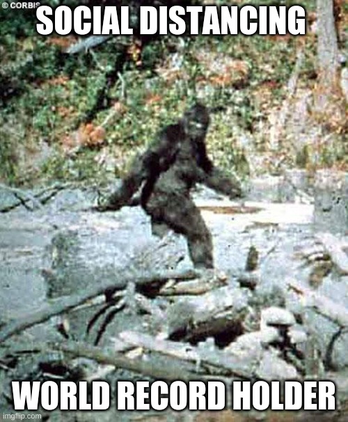 Bigfoot | SOCIAL DISTANCING; WORLD RECORD HOLDER | image tagged in bigfoot,bigfoot memes,covid,covid 19,quarantine | made w/ Imgflip meme maker