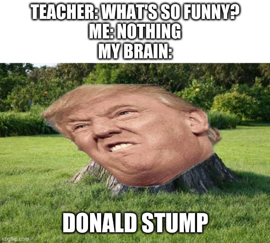 lol | TEACHER: WHAT'S SO FUNNY?
ME: NOTHING
MY BRAIN:; DONALD STUMP | image tagged in memes,funny,donald trump,tree,yes | made w/ Imgflip meme maker