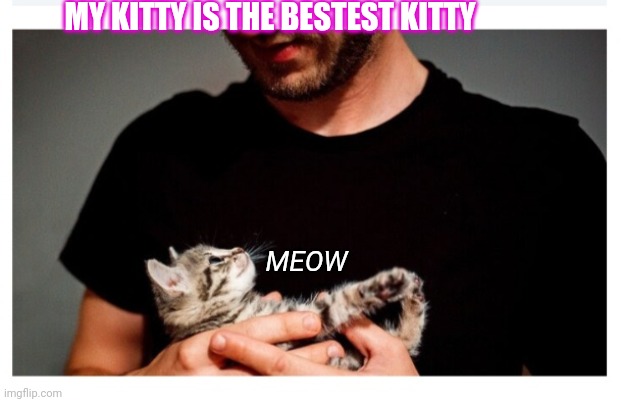 Good Kitty | MY KITTY IS THE BESTEST KITTY; MEOW | image tagged in cute kittens | made w/ Imgflip meme maker