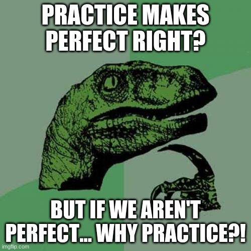 lol | PRACTICE MAKES PERFECT RIGHT? BUT IF WE AREN'T PERFECT... WHY PRACTICE?! | image tagged in memes,philosoraptor,funny | made w/ Imgflip meme maker