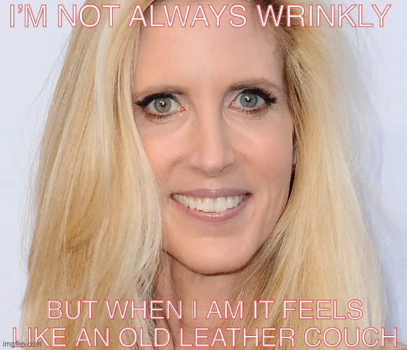 Ann Coulter The Wrinkle Monster | I’M NOT ALWAYS WRINKLY; BUT WHEN I AM IT FEELS LIKE AN OLD LEATHER COUCH | image tagged in offensive,rude,ann coulter | made w/ Imgflip meme maker