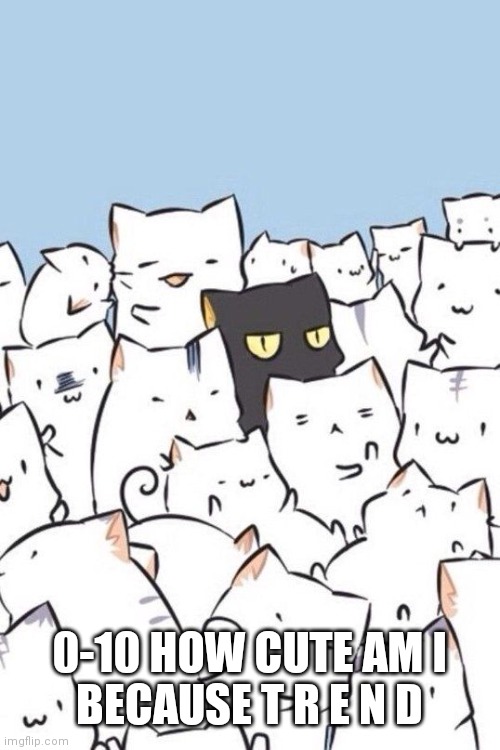 Cats | 0-10 HOW CUTE AM I
BECAUSE T R E N D | image tagged in cats | made w/ Imgflip meme maker