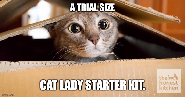 Jack The Planeswalker | A TRIAL SIZE; CAT LADY STARTER KIT. | image tagged in jack the planeswalker | made w/ Imgflip meme maker