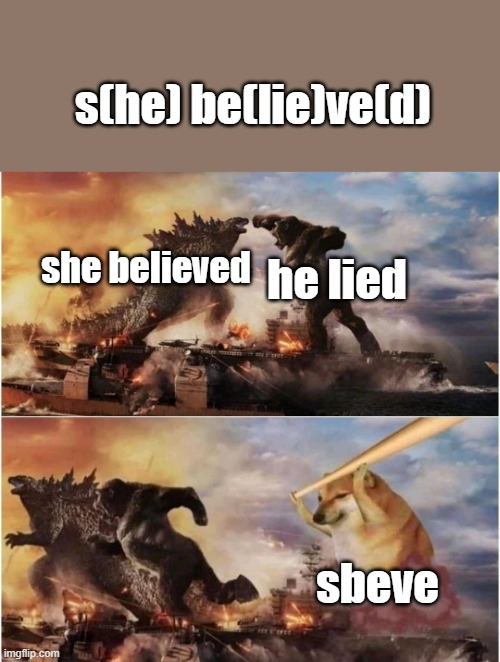 S B E V E | s(he) be(lie)ve(d); she believed; he lied; sbeve | image tagged in funny memes,memes | made w/ Imgflip meme maker