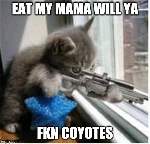 cats with guns | EAT MY MAMA WILL YA; FKN COYOTES | image tagged in cats with guns | made w/ Imgflip meme maker