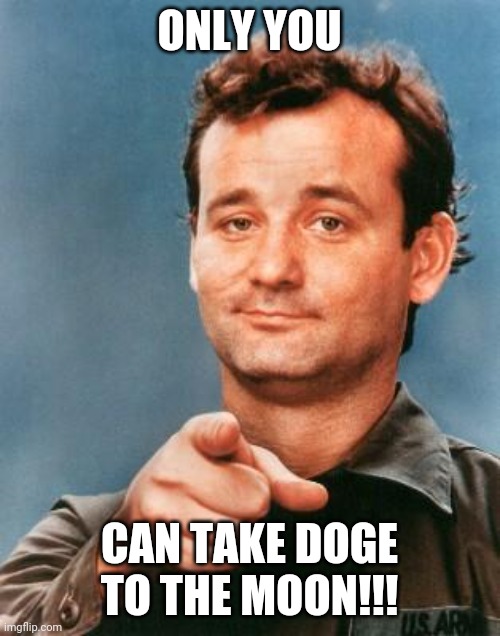 Bill Murray You're Awesome | ONLY YOU; CAN TAKE DOGE TO THE MOON!!! | image tagged in bill murray you're awesome | made w/ Imgflip meme maker