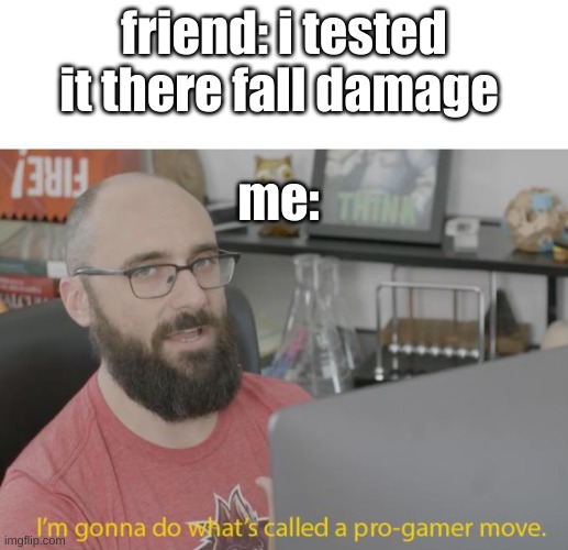 testing fall damage in a nutshell | friend: i tested it there fall damage; me: | image tagged in pro gamer move | made w/ Imgflip meme maker