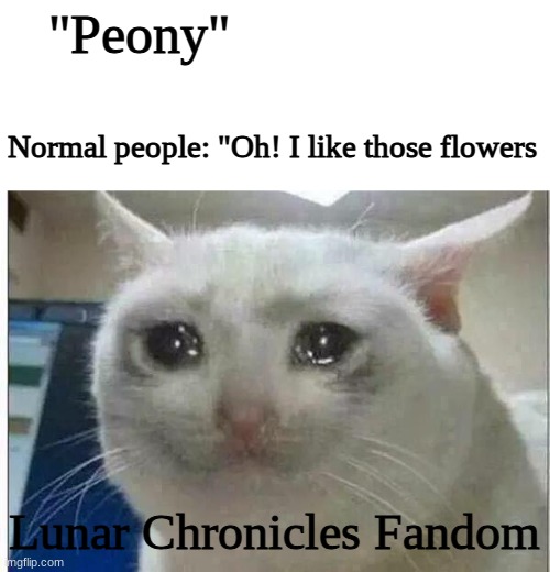 Peony, I Miss YOUUUU | "Peony"; Normal people: "Oh! I like those flowers; Lunar Chronicles Fandom | image tagged in crying cat,lunar chronicles,cinder | made w/ Imgflip meme maker