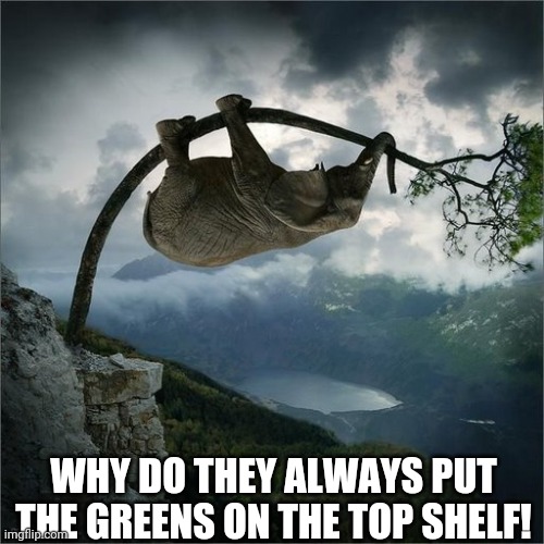 WHY DO THEY ALWAYS PUT THE GREENS ON THE TOP SHELF! | image tagged in lol | made w/ Imgflip meme maker
