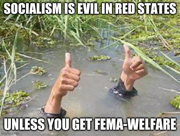 SOCIALISM IS EVIL | SOCIALISM IS EVIL IN RED STATES; UNLESS YOU GET FEMA-WELFARE | image tagged in underwater | made w/ Imgflip meme maker