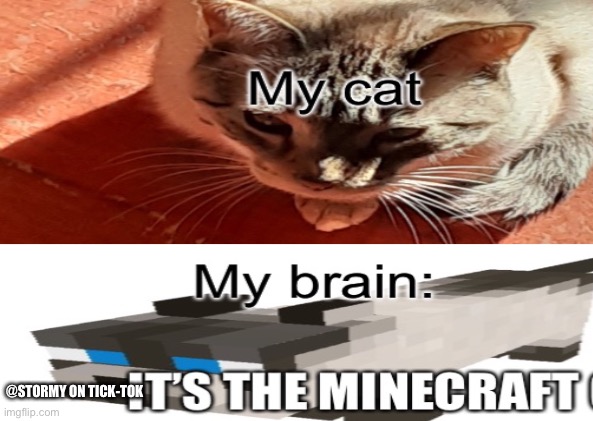 Fixed version of my original |  @STORMY ON TICK-TOK | image tagged in minecraft,cat | made w/ Imgflip meme maker