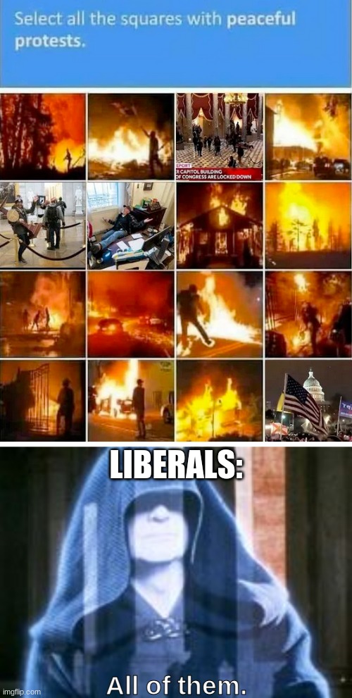 "Select all the squares with peaceful protests." | LIBERALS:; All of them. | image tagged in liberals,democrats,leftists,blm,black lives matter,all of them | made w/ Imgflip meme maker