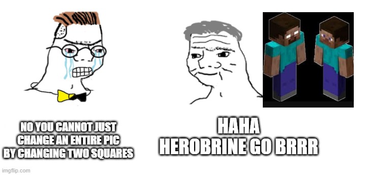 art teacher logic | HAHA HEROBRINE GO BRRR; NO YOU CANNOT JUST CHANGE AN ENTIRE PIC BY CHANGING TWO SQUARES | image tagged in nooo haha go brrr | made w/ Imgflip meme maker