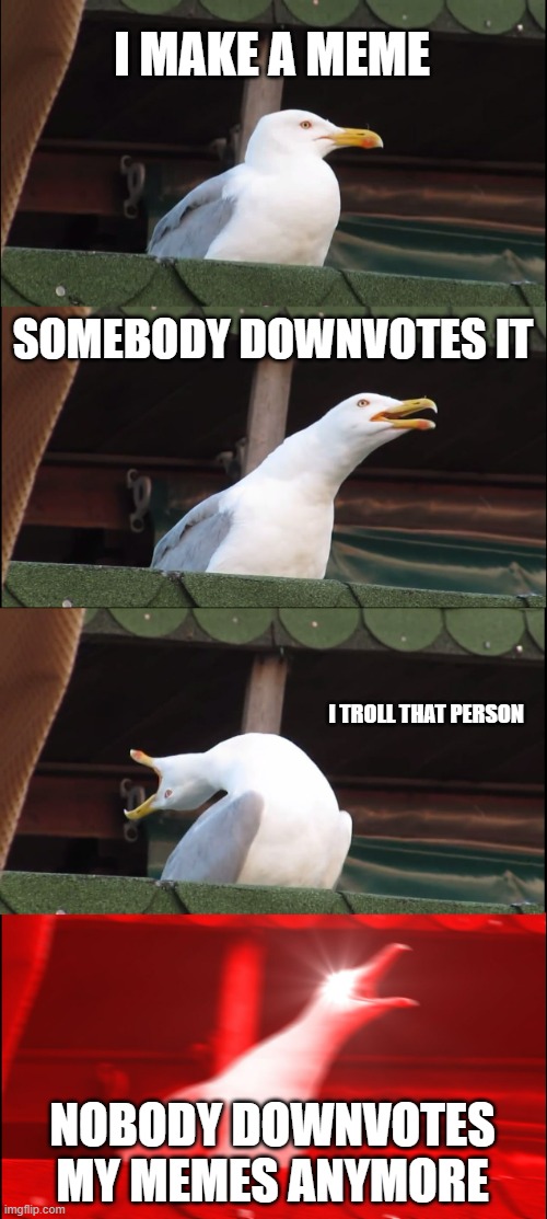 no. downvoting. | I MAKE A MEME; SOMEBODY DOWNVOTES IT; I TROLL THAT PERSON; NOBODY DOWNVOTES MY MEMES ANYMORE | image tagged in memes,inhaling seagull | made w/ Imgflip meme maker