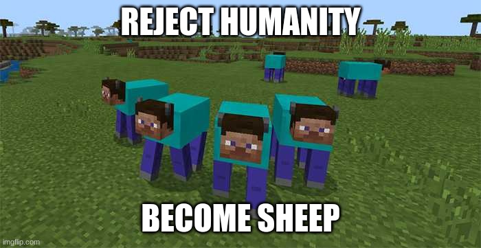 me and the boys | REJECT HUMANITY; BECOME SHEEP | image tagged in me and the boys | made w/ Imgflip meme maker
