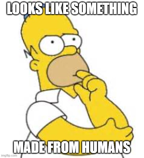 Homer Simpson Hmmmm | LOOKS LIKE SOMETHING MADE FROM HUMANS | image tagged in homer simpson hmmmm | made w/ Imgflip meme maker