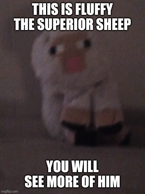 Fluffy the superior sheep | THIS IS FLUFFY THE SUPERIOR SHEEP; YOU WILL SEE MORE OF HIM | image tagged in fluffy the superior sheep | made w/ Imgflip meme maker