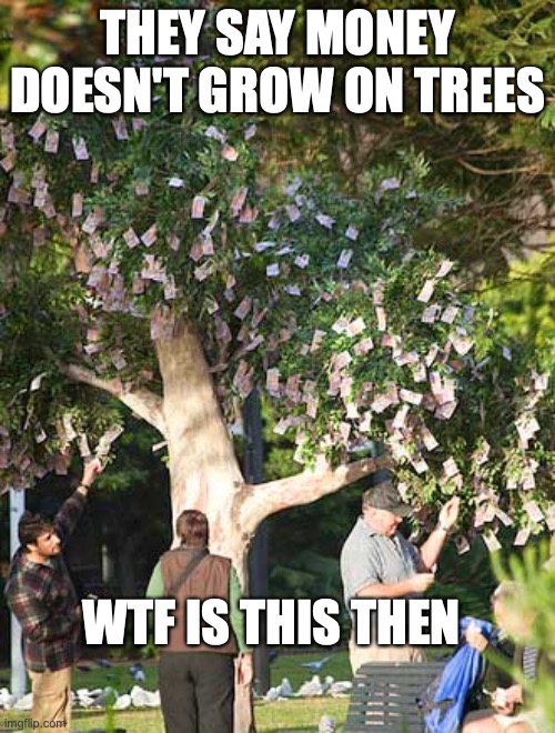 money tree | THEY SAY MONEY DOESN'T GROW ON TREES; WTF IS THIS THEN | image tagged in money money,tree | made w/ Imgflip meme maker