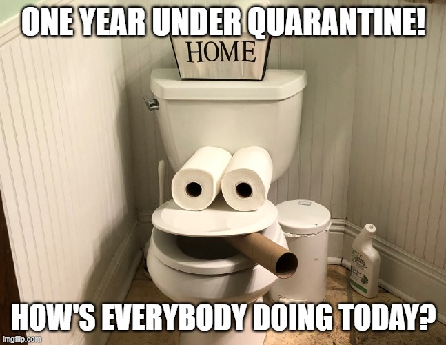 Smoking Toilet | ONE YEAR UNDER QUARANTINE! HOW'S EVERYBODY DOING TODAY? | image tagged in smoking toilet | made w/ Imgflip meme maker