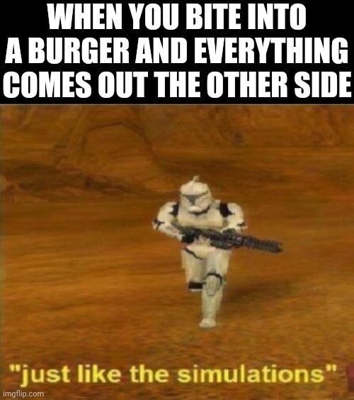 Just like the simulations | WHEN YOU BITE INTO A BURGER AND EVERYTHING COMES OUT THE OTHER SIDE | image tagged in just like the simulations | made w/ Imgflip meme maker