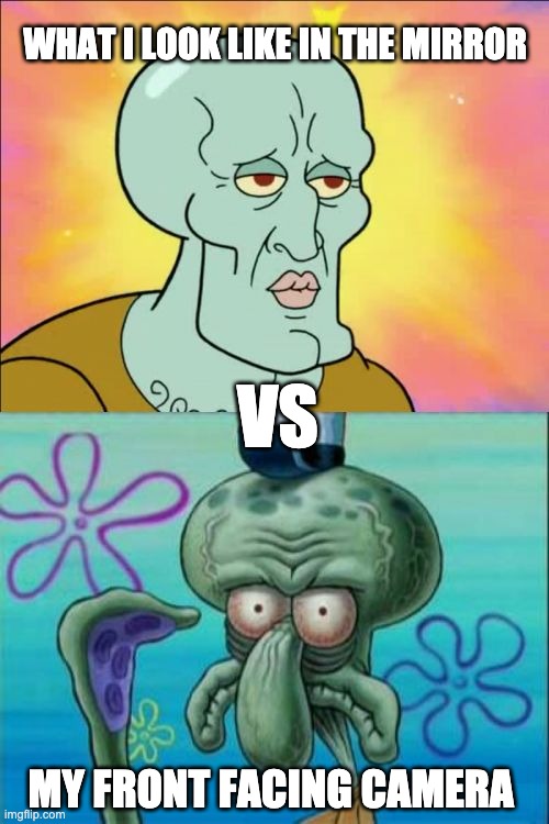 Its just facts | WHAT I LOOK LIKE IN THE MIRROR; VS; MY FRONT FACING CAMERA | image tagged in memes,squidward | made w/ Imgflip meme maker