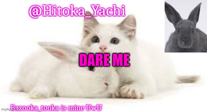 Hitoka_Yachi | DARE ME | image tagged in hitoka_yachi | made w/ Imgflip meme maker