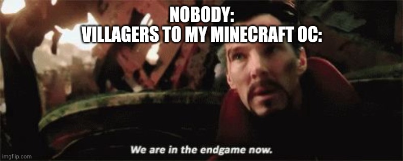 I won't tell you the name. | NOBODY:
VILLAGERS TO MY MINECRAFT OC: | image tagged in we're in the endgame now | made w/ Imgflip meme maker